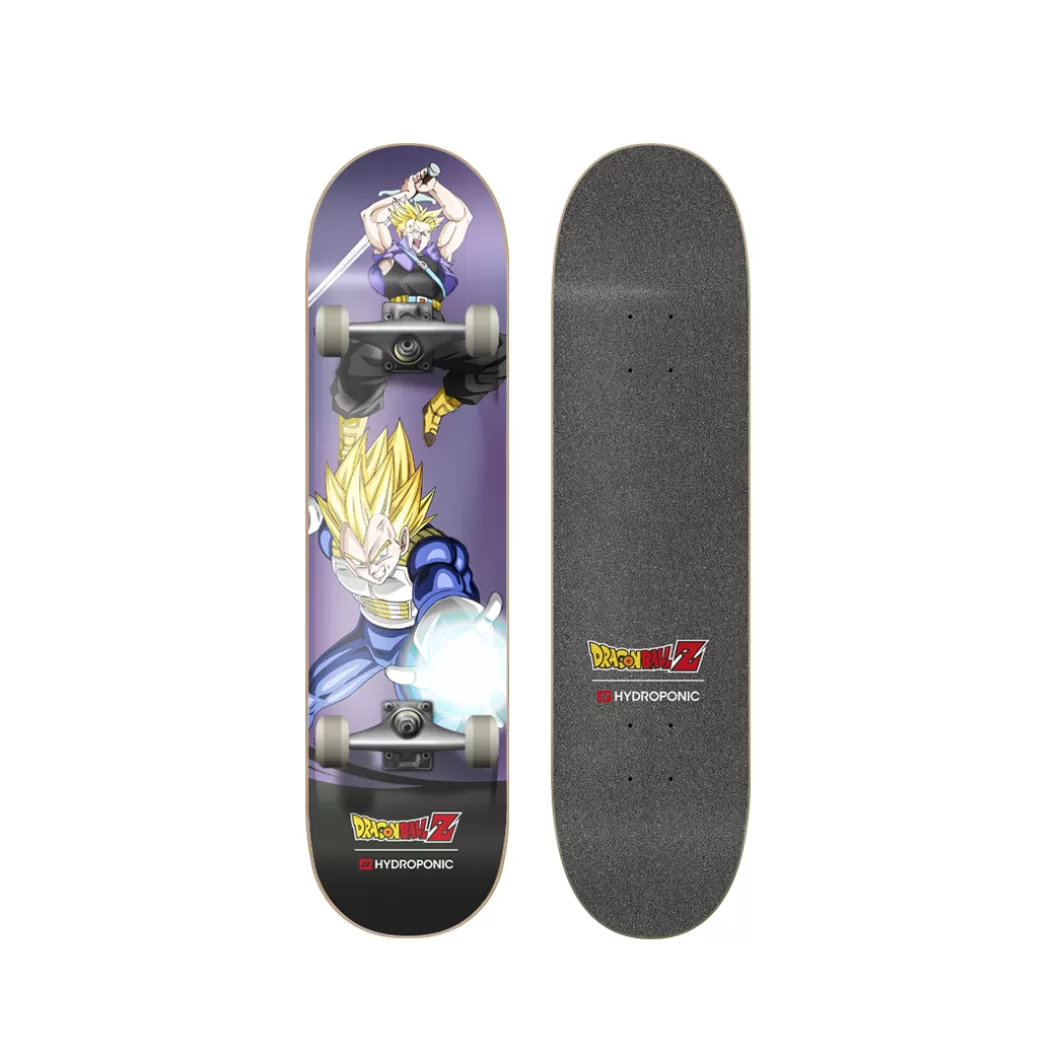 Hot Complete Skate Dbz Vegeta & Trunks Size 8