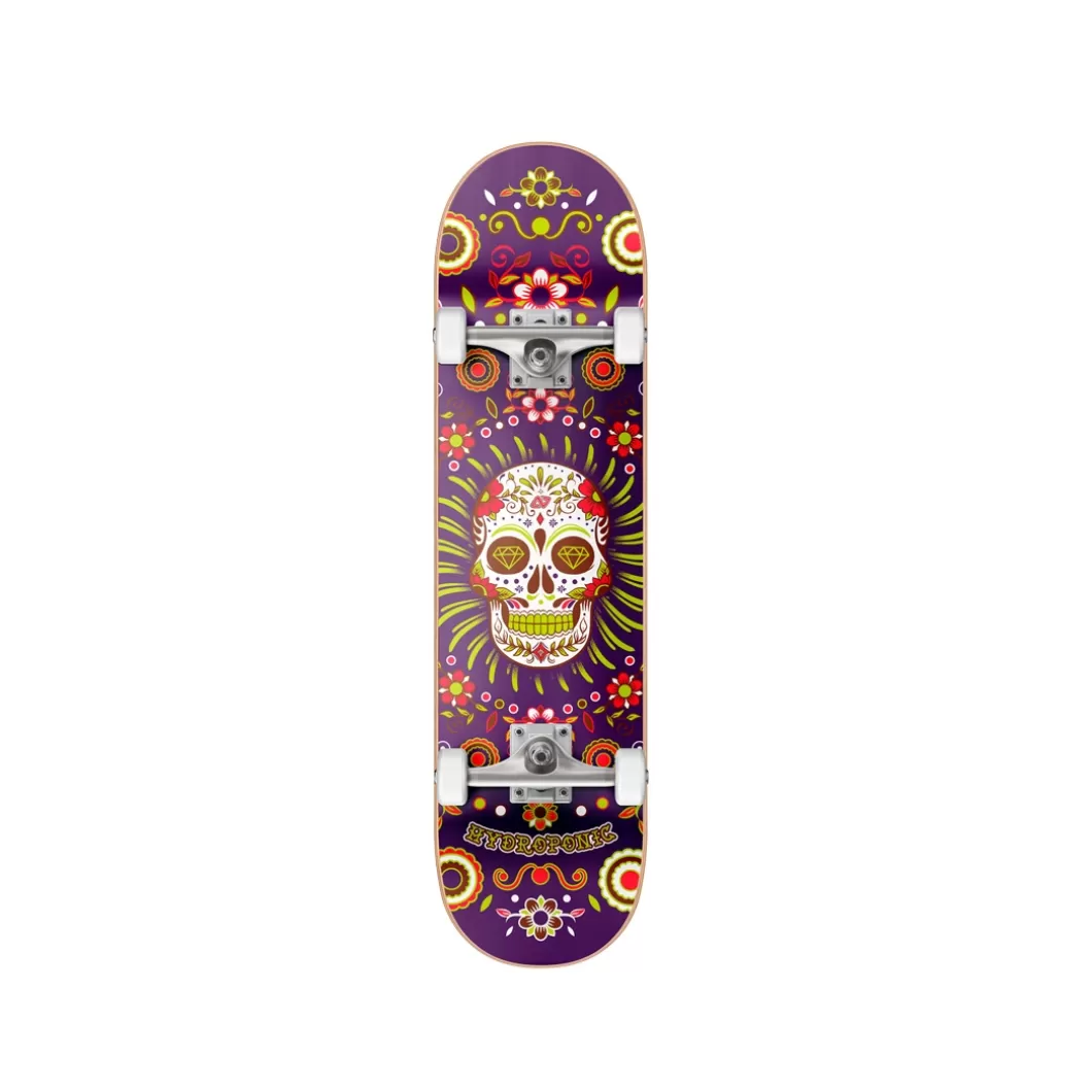 Best Complete Skate Mexican Skull Purple Size 8,125