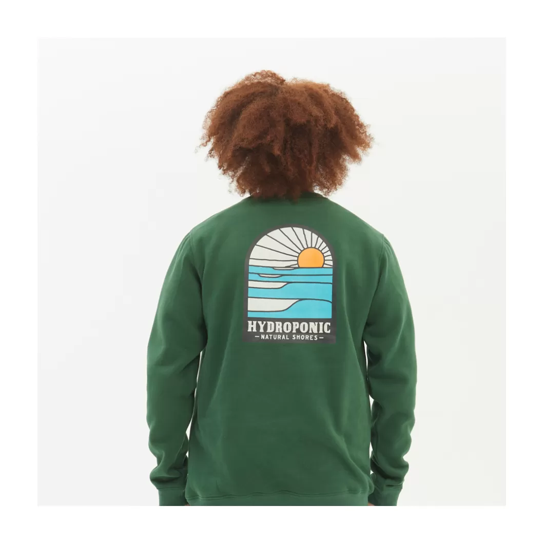 Best Crewneck Youth Shores Dark Green Youth Crewnecks Youth