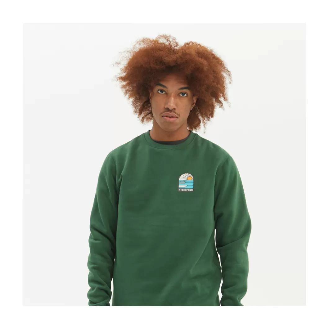 Best Crewneck Youth Shores Dark Green Youth Crewnecks Youth