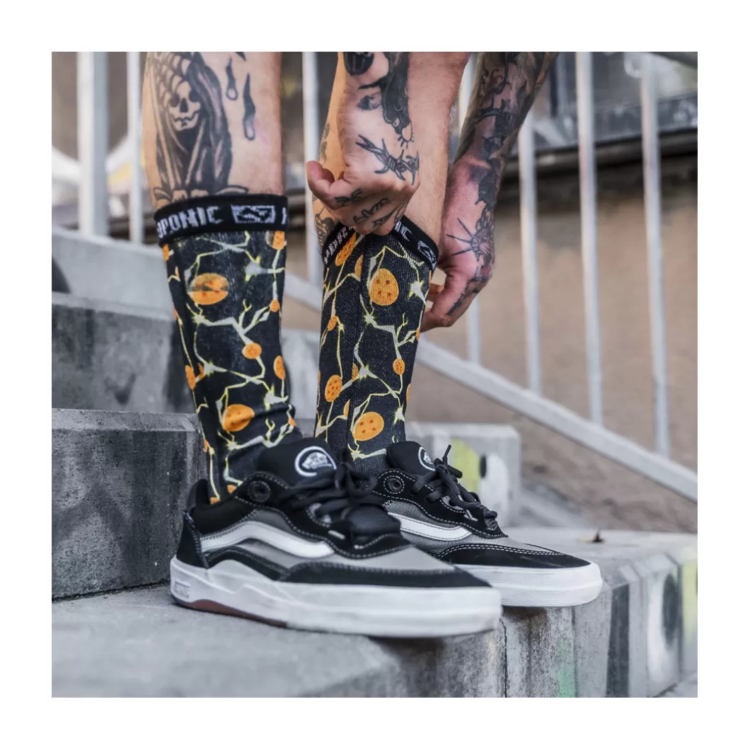 Store Socks Sk Dragon Ball Z Dragon Balls Socks