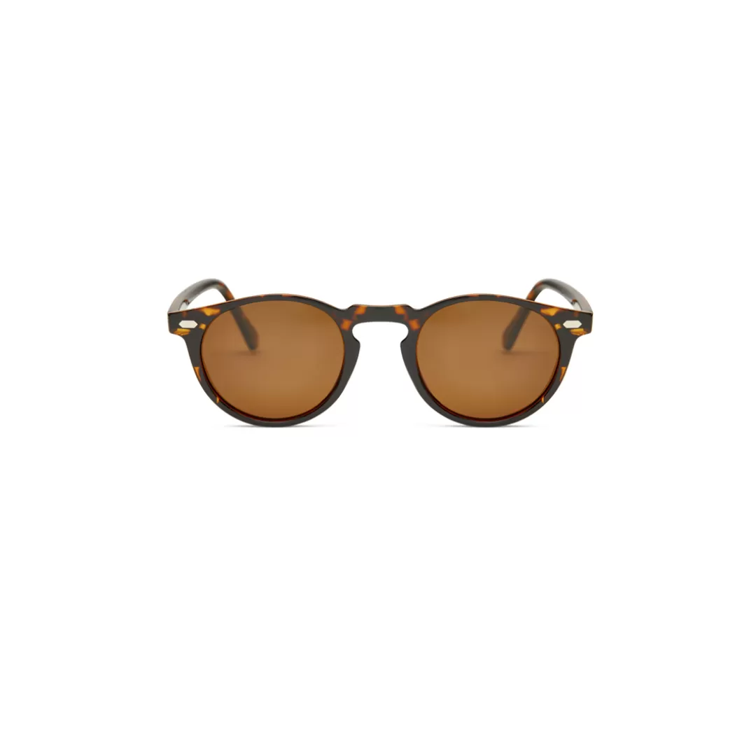 Clearance Sunglasses Ew Wolf Tortoise + Brown Sunglasses